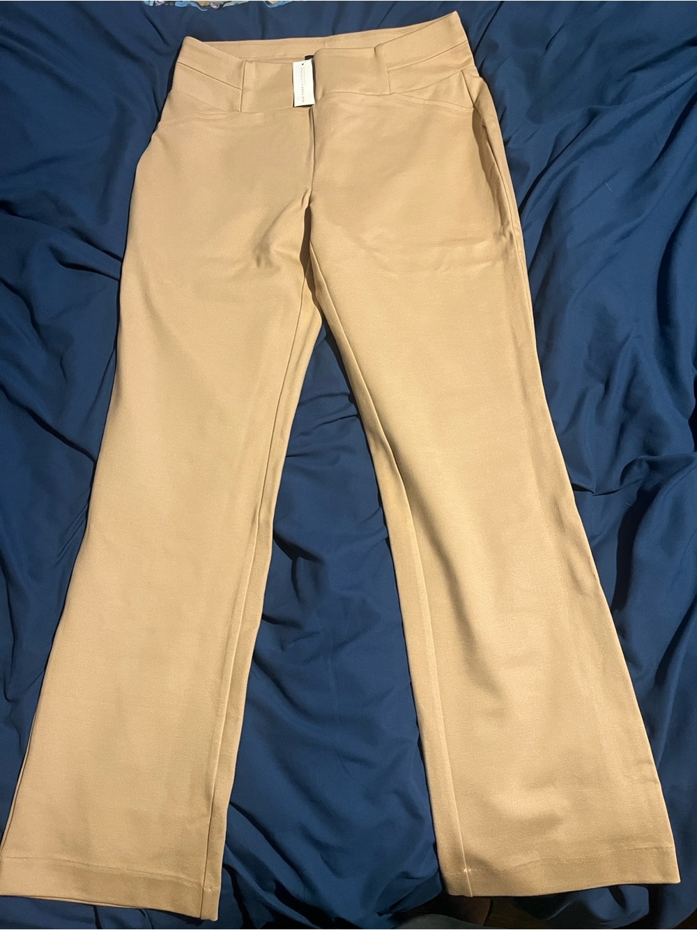 New York & Company Beige Straight-Leg Dress Pants